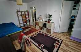 Garsoniera, 26mp, pet friendly, zona  Spitalul de Recuperare