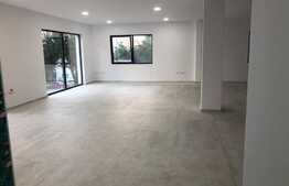 Spatiu la parter, 140 mp, acces din strada, terasa de 100 mp, ideal prestari servicii