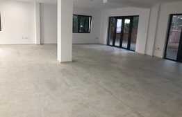 Spatiu la parter, 140 mp, acces din strada, terasa de 100 mp, ideal prestari servicii