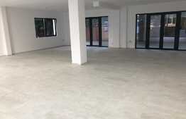 Spatiu la parter, 140 mp, acces din strada, terasa de 100 mp, ideal prestari servicii