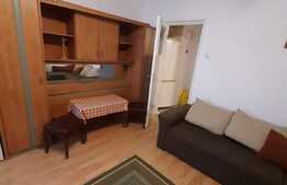 Garsoniera decomandata, 28 mp, recent renovata, zona Piata Flora