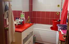 Exclusivitate ! 2 camere, 43 mp, parcare, terasa! Zona strazii Stejarului!