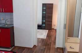 Apartament cu 2 camere, 56 mp, mobilat modern, zona strazii Teodor Mihali