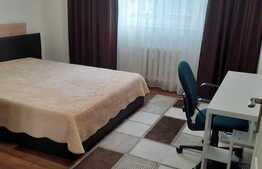 Apartament cu 2 camere, 56 mp, mobilat modern, zona strazii Teodor Mihali