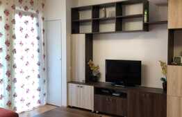 Apartament 2 camere, 55 mp, zona strazii Miko Imre