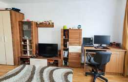 Super pret! Garsoniera 21mp, zona Calea Baciului