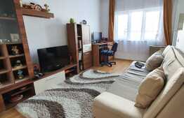 Super pret! Garsoniera 21mp, zona Calea Baciului