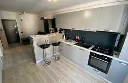 Apartament cu 2 camere, de lux, 40 mp, intermediar, parcare, zona Teilor