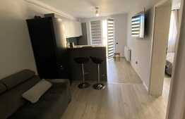 Apartament cu 2 camere, de lux, 40 mp, intermediar, parcare, zona Teilor