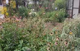 Casa cu livada si gradina! 