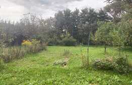 Casa cu livada si gradina! 