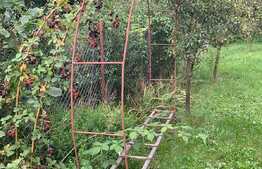 Casa cu livada si gradina! 