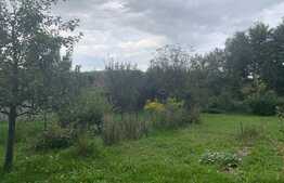 Casa cu livada si gradina! 