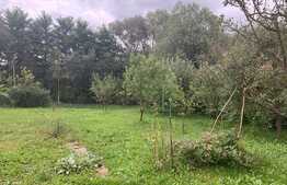 Casa cu livada si gradina! 