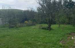 Casa cu livada si gradina! 