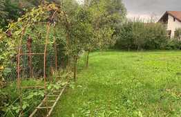 Casa cu livada si gradina! 