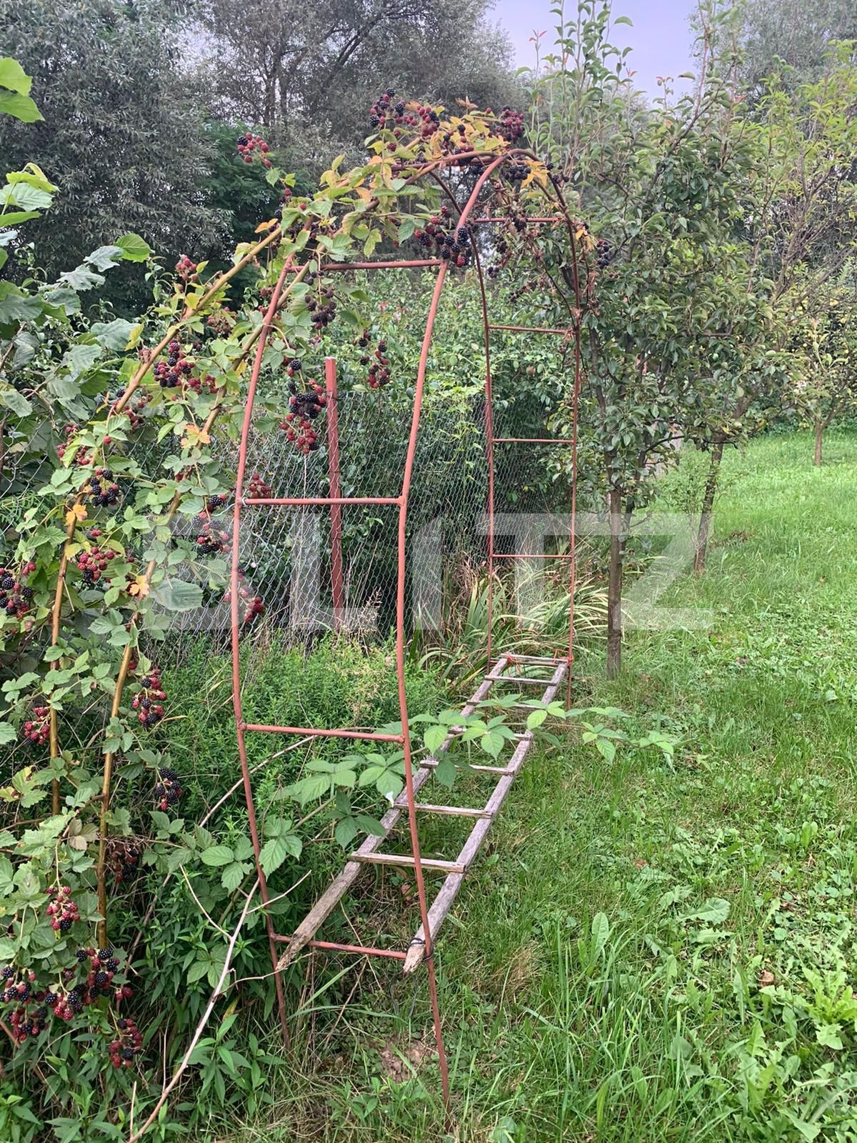 Casa de vânzare 6 camere Exterior Vest - 54478CV | BLITZ Cluj-Napoca | Poza12