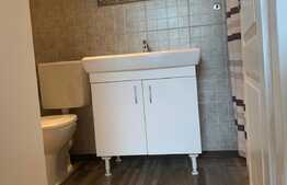 Apartament 2 camere, mobilat si utilat, zona strazii Buna Ziua!