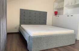 Apartament 2 camere, mobilat si utilat, zona strazii Buna Ziua!