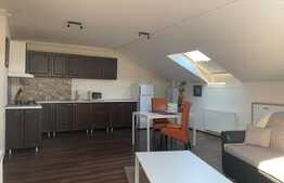 Apartament 2 camere, mobilat si utilat, zona strazii Buna Ziua!