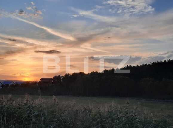 Casa de vânzare 4 camere Jucu - 54513CV | BLITZ Cluj-Napoca | Poza11