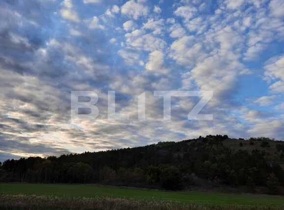 Casa de vânzare 4 camere Jucu - 54513CV | BLITZ Cluj-Napoca | Poza10