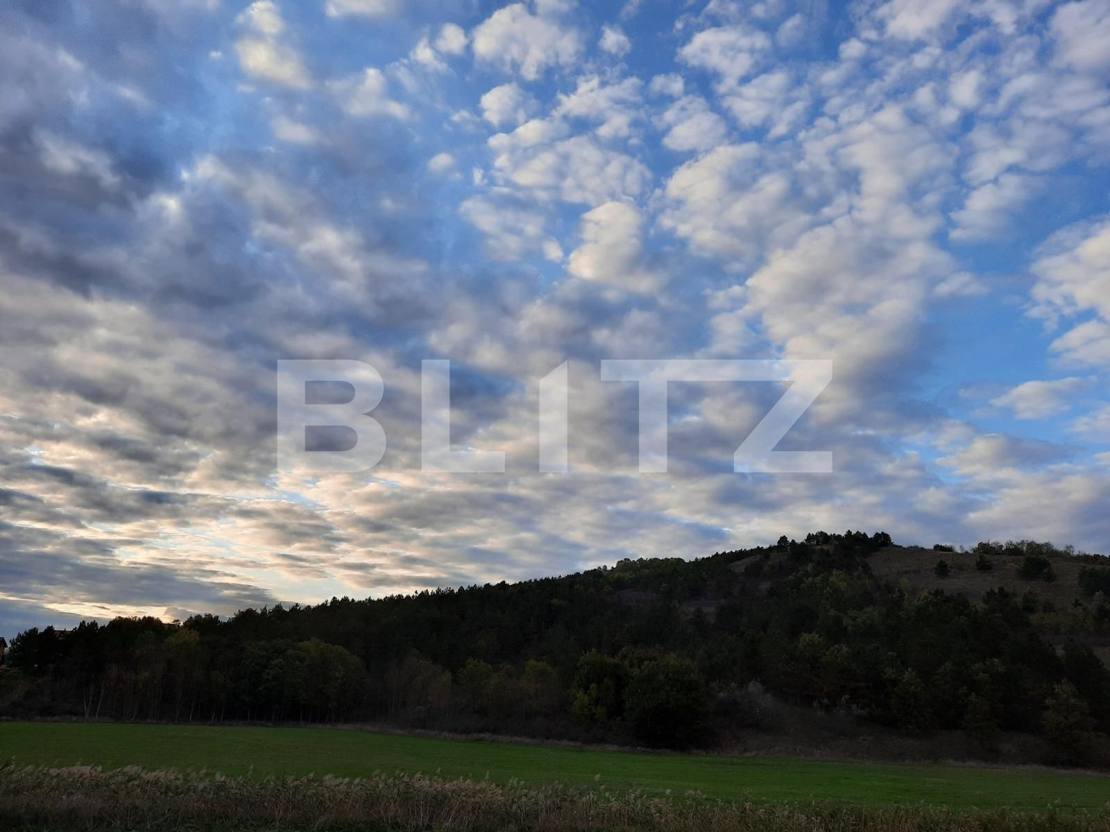 Casa de vânzare 4 camere Jucu - 54513CV | BLITZ Cluj-Napoca | Poza10