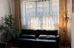 Apartament 2 camere, 45 mp, Aleea Herculane