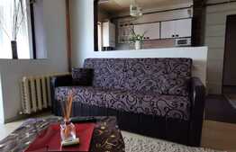 Apartament 3 camere, 55 mp, pet friendly, zona Casa Radio