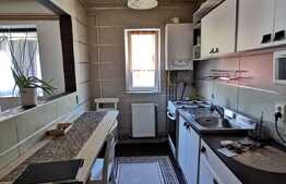 Apartament 3 camere, 55 mp, pet friendly, zona Casa Radio