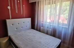 Apartament 3 camere, 55 mp, pet friendly, zona Casa Radio