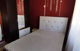 Apartament 3 camere, 55 mp, pet friendly, zona Casa Radio