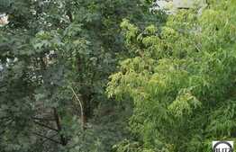 De vanzare 1 camera decomandata, zona Interservisan