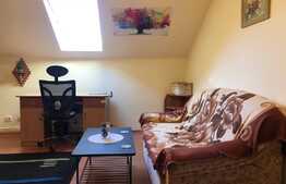 Apartament cu o camera, 35 mp, pet-friendly, bucatarie decomandata, zona Kaufland