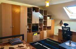 Apartament cu o camera, 35 mp, pet-friendly, bucatarie decomandata, zona Kaufland