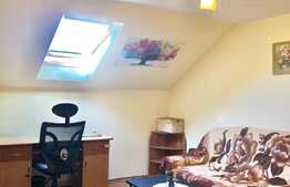 Apartament cu o camera, 35 mp, pet-friendly, bucatarie decomandata, zona Kaufland