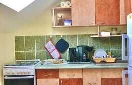 Apartament cu o camera, 35 mp, pet-friendly, bucatarie decomandata, zona Kaufland