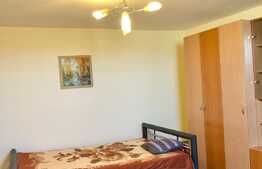 Apartament cu o camera, 35 mp, pet-friendly, bucatarie decomandata, zona Kaufland
