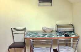 Apartament cu o camera, 35 mp, pet-friendly, bucatarie decomandata, zona Kaufland