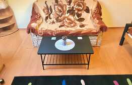 Apartament cu o camera, 35 mp, pet-friendly, bucatarie decomandata, zona Kaufland