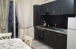 Apartament 2 camere, 40 mp, zona Teilor