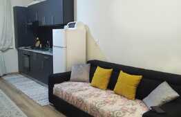Apartament 2 camere, 40 mp, zona Teilor