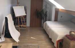 Oportunitate BLITZ ! 2 camere pe doua niveluri, orientare sudica, zona Negoiu