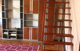 Oportunitate BLITZ ! 2 camere pe doua niveluri, orientare sudica, zona Negoiu