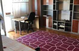 Oportunitate BLITZ ! 2 camere pe doua niveluri, orientare sudica, zona Negoiu