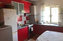 Oportunitate BLITZ ! 2 camere pe doua niveluri, orientare sudica, zona Negoiu