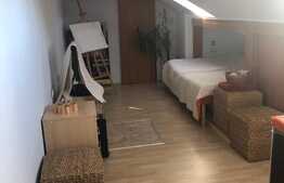 Oportunitate BLITZ ! 2 camere pe doua niveluri, orientare sudica, zona Negoiu