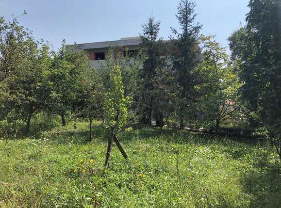 Casa de vânzare 11 camere Dambul Rotund - 54590CV | BLITZ Cluj-Napoca | Poza5