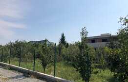 Teren intravilan 1350 mp, zona dezvoltata de case, Dambu Rotund!