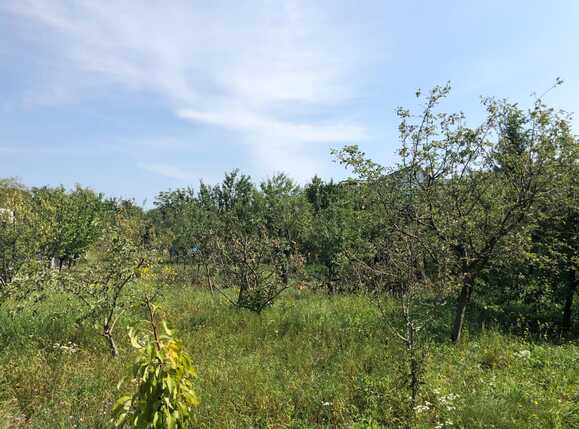 Teren de vânzare Dambul Rotund - 54593TV | BLITZ Cluj-Napoca | Poza3